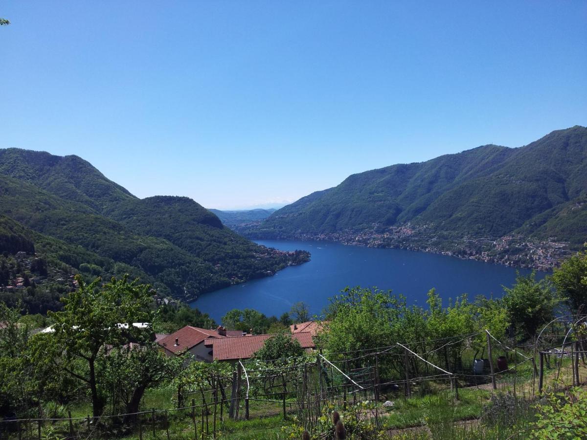 B&B Le Magnolie Faggeto Lario Exterior photo