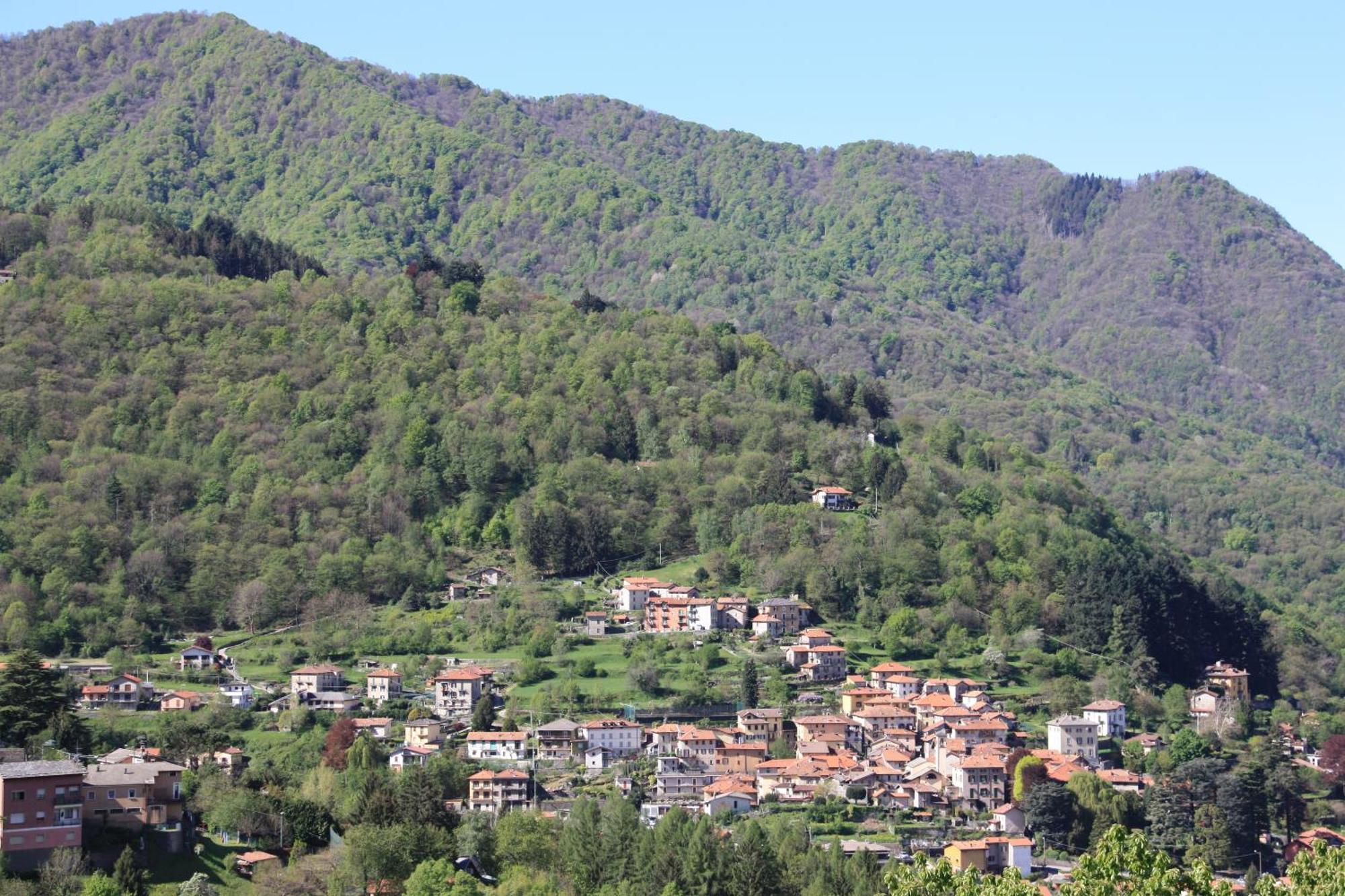 B&B Le Magnolie Faggeto Lario Exterior photo